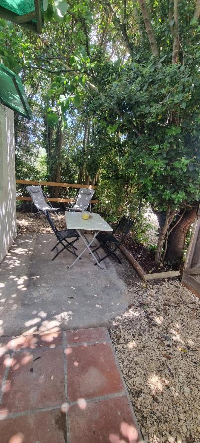 Studio En Camargue Арль Экстерьер фото
